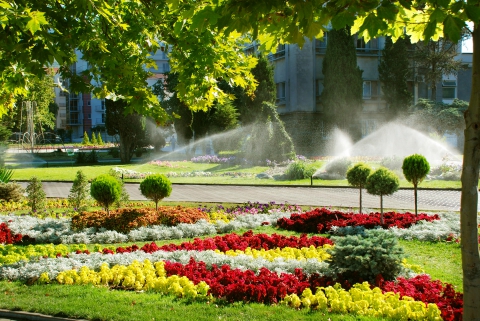 Irrigation systems in Bakersfield