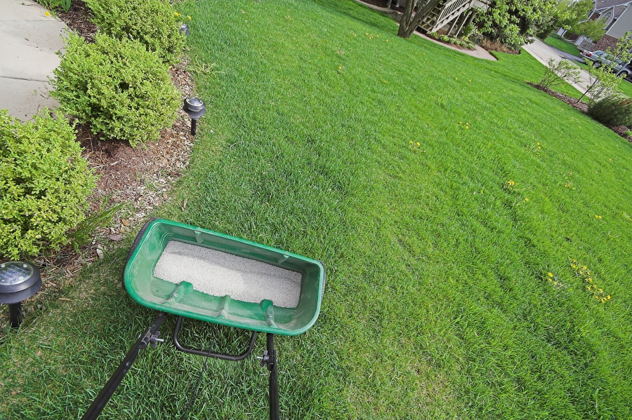 fertilizer4