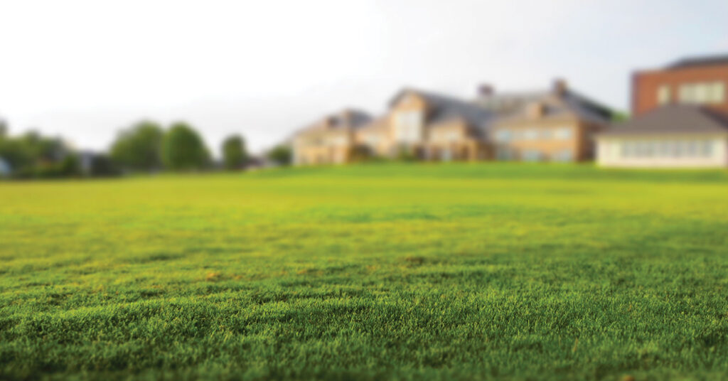 feature-1-5a69f70eccc8d