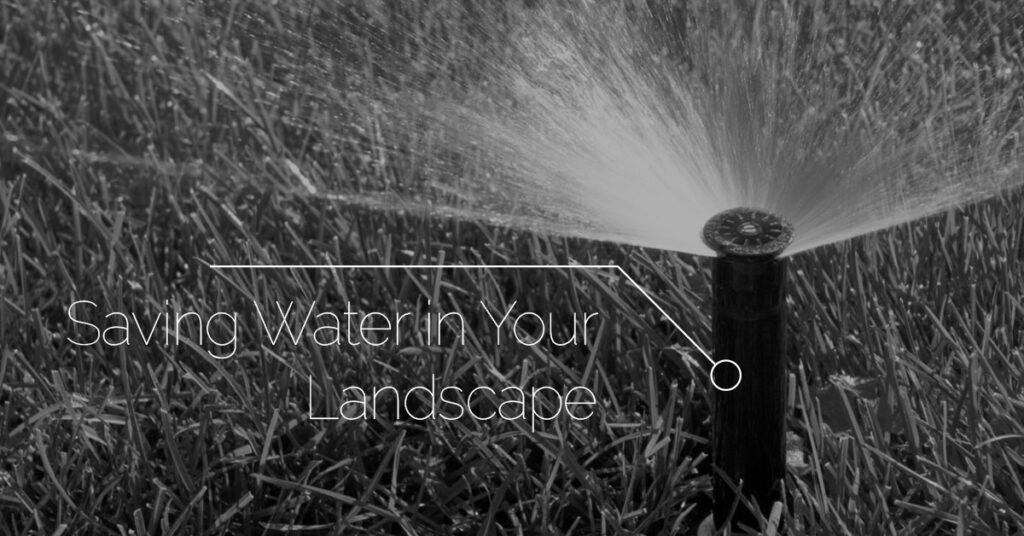 Saving-Water-in-Your-Landscape-5b44c77fb0e83