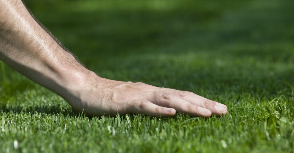 banner-82-5d31c0c6b3f1d