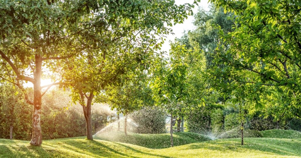 A park with trees is watered by sprinklers.