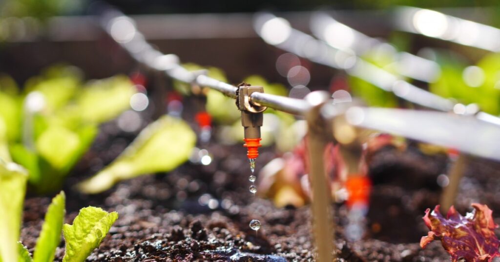 banner-8-5e1cea678e2c7