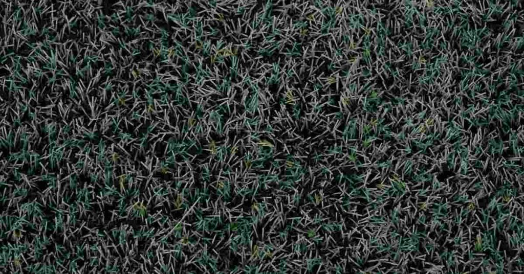 Pieces of artificial grass