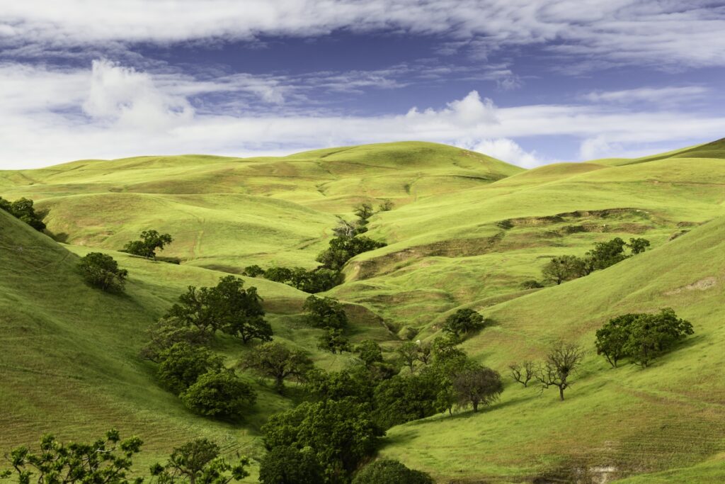 image from California's Central Valley with clearly working irrigation systems