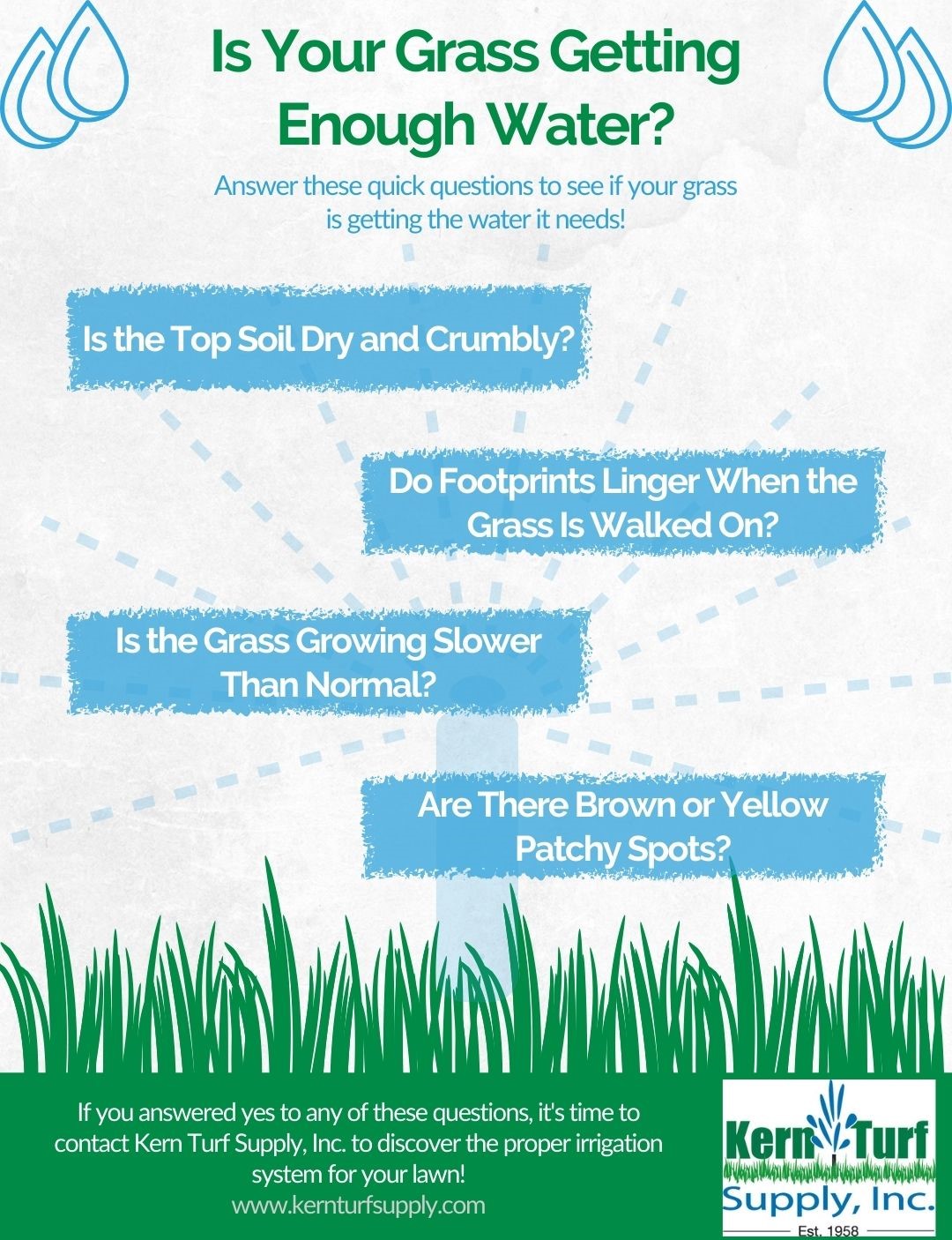 Is Your Grass Getting Enough Water?