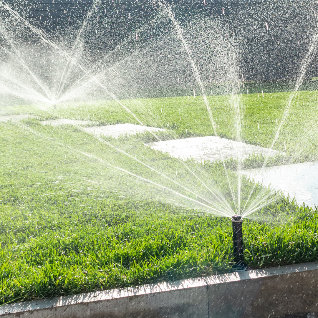 watering lawn