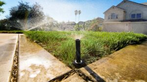 Sprinkler system in the front lawn of a California home