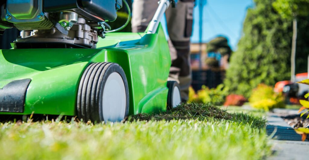 M8123 - Blog - Seasonal Lawn Care Guide