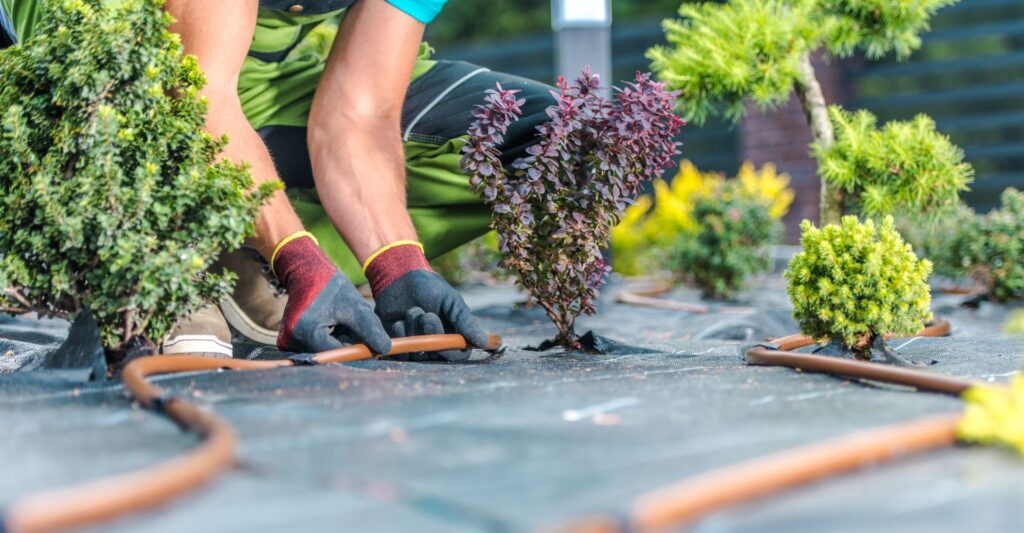 M8123 - Blog - What Is SMART Irrigation & How Can It Help My Yard