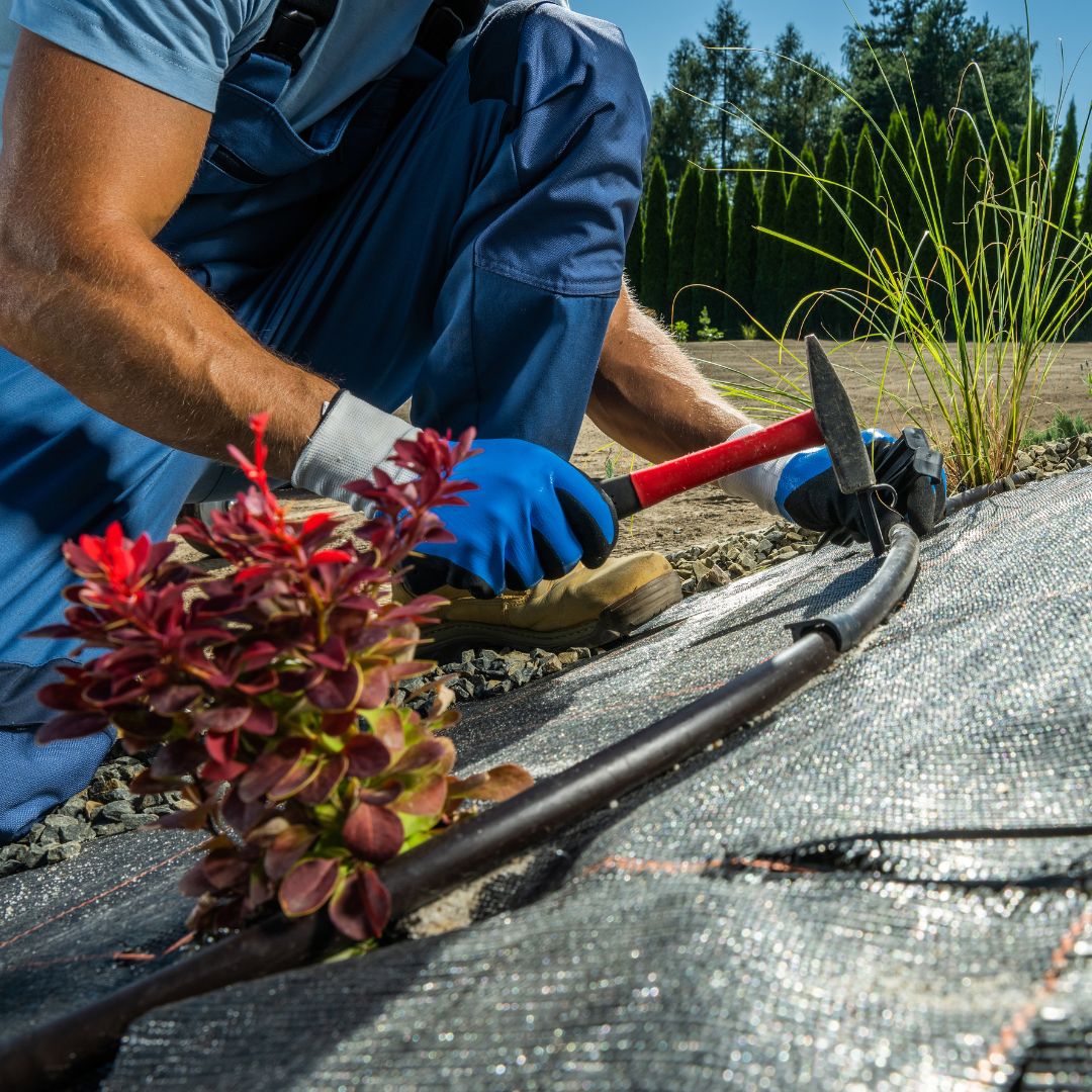 drip irrigation system