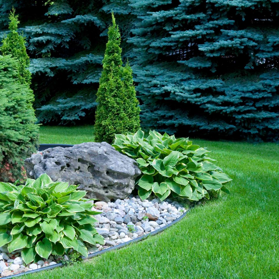 landscaping with erosion control