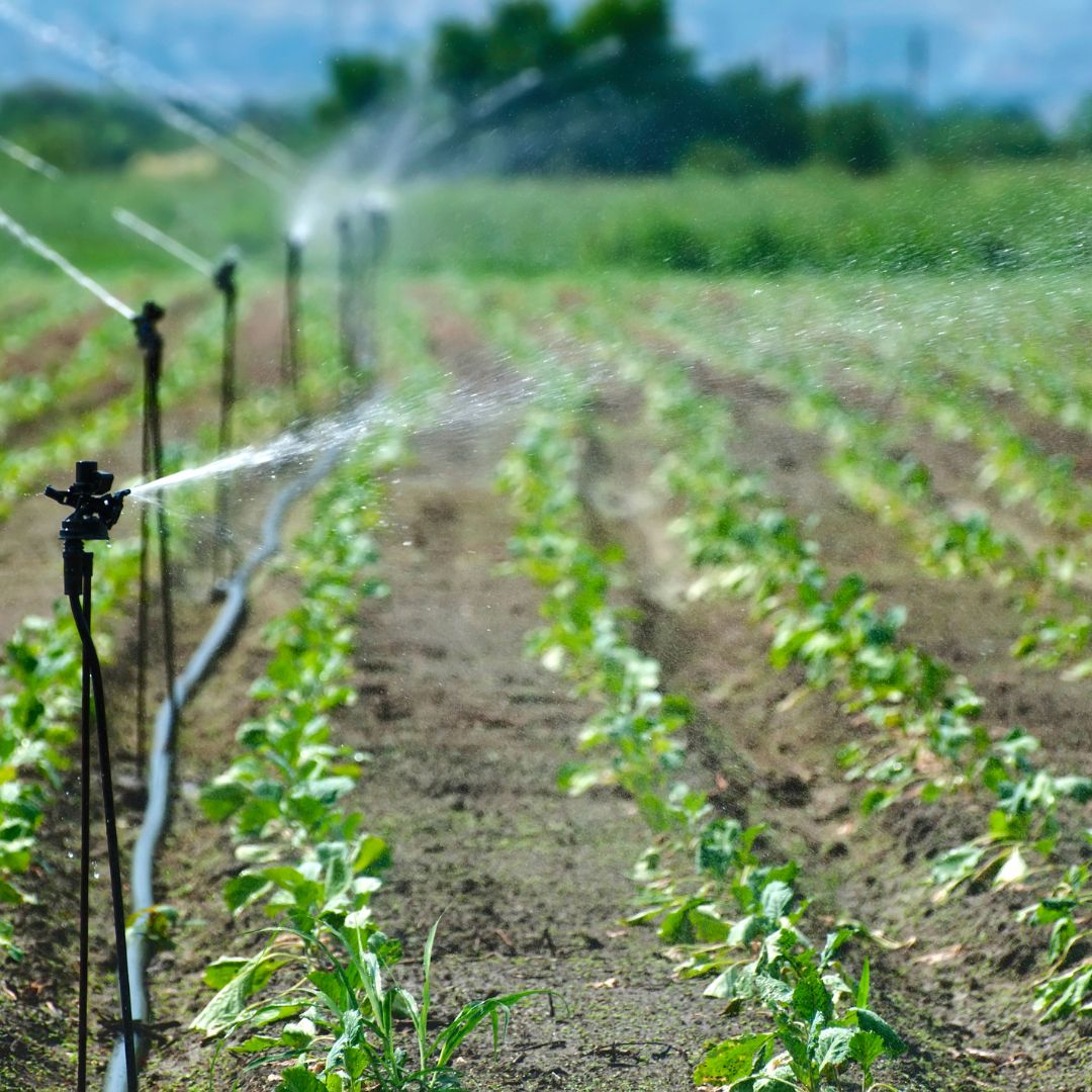 Mastering Irrigation Efficiency with Central Control Systems 3