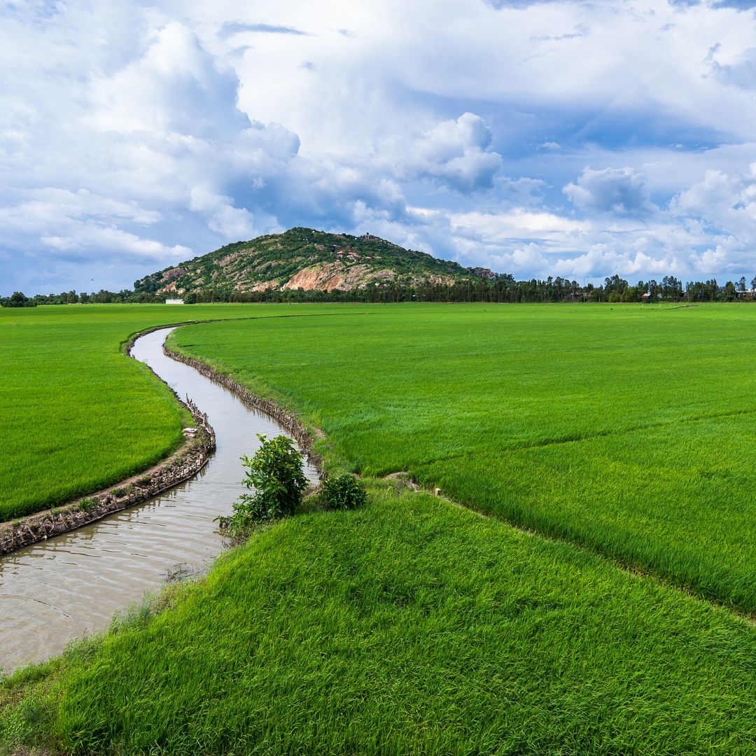 Mastering Irrigation Efficiency with Central Control Systems 4