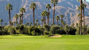 California golf course palm trees