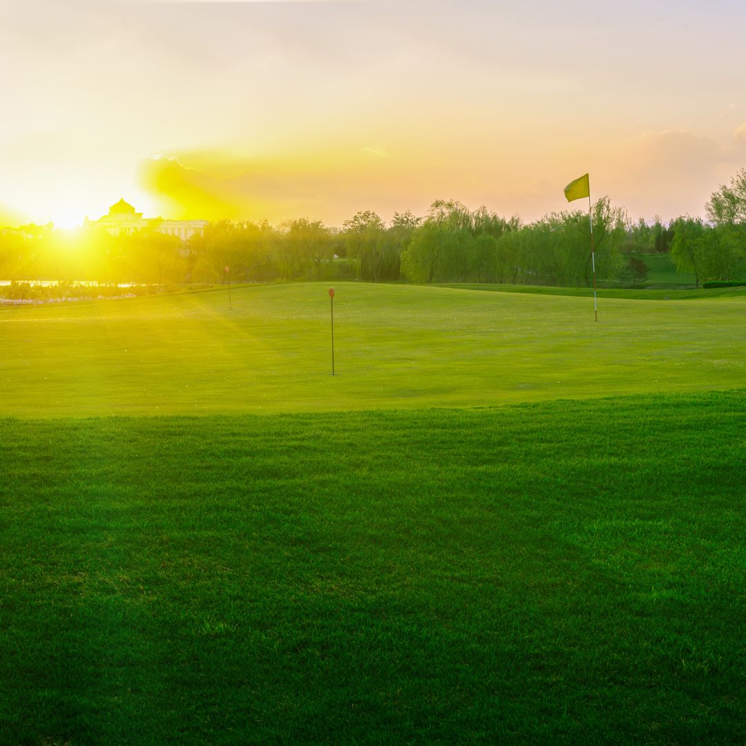 sun shining on golf course