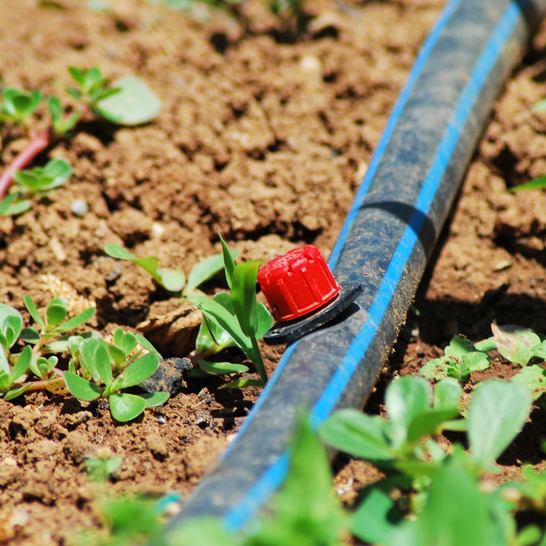 Efficient Water Management_ How Irrigation Supplies from Kern Turf Supply Can Help 2
