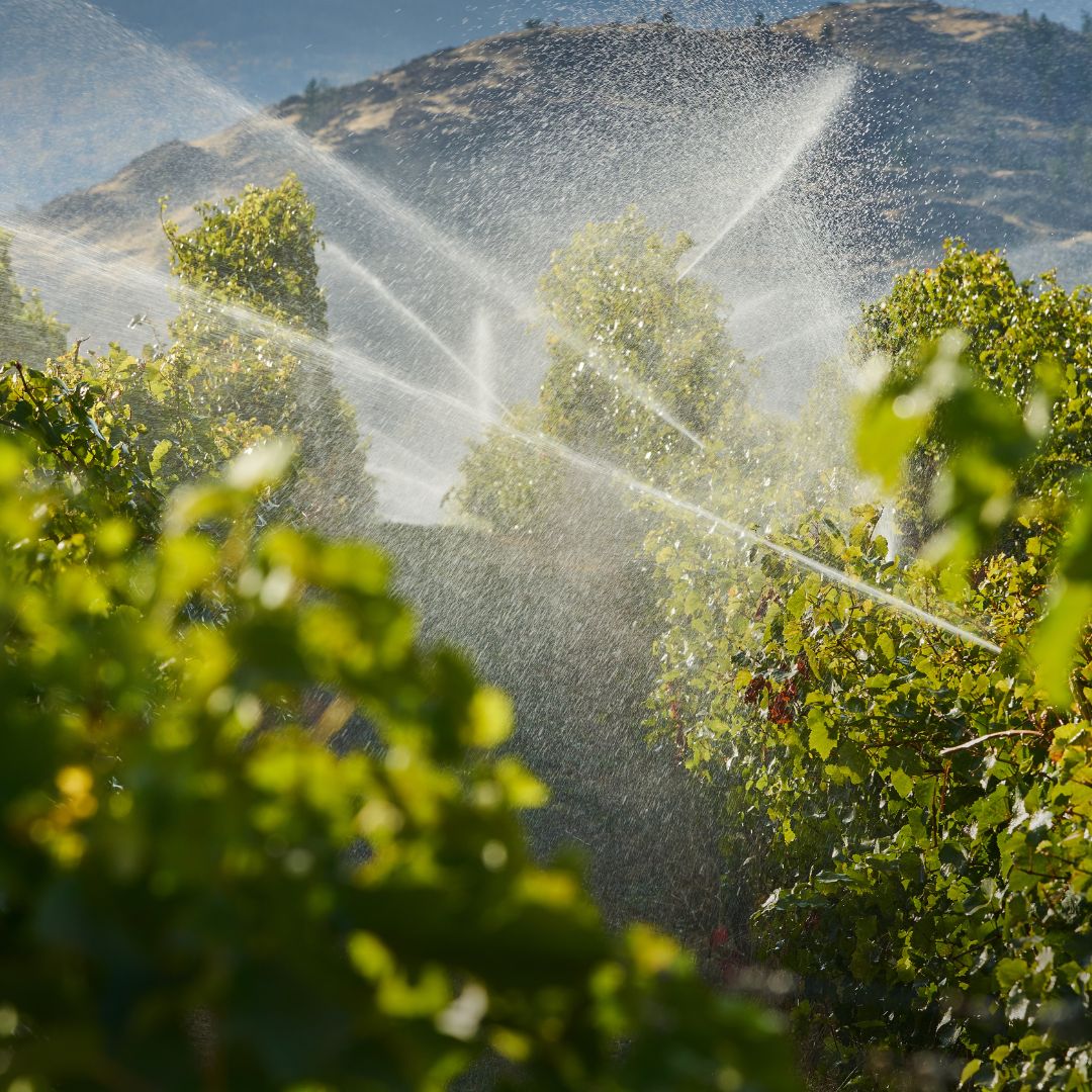 Efficient Water Management_ How Irrigation Supplies from Kern Turf Supply Can Help 5