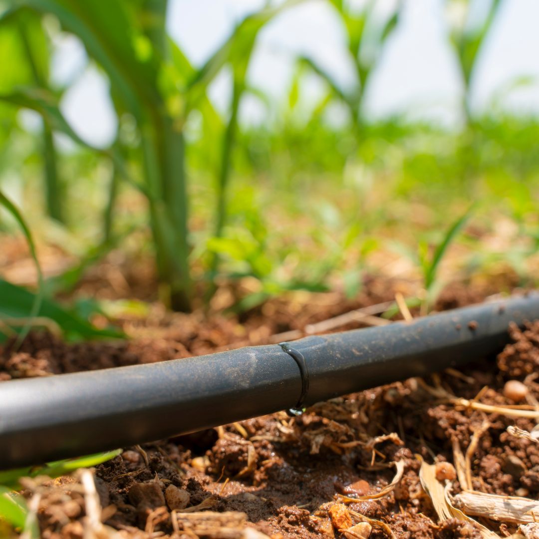Efficient Water Management_ How Irrigation Supplies from Kern Turf Supply Can Help 6