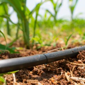 drip irrigation