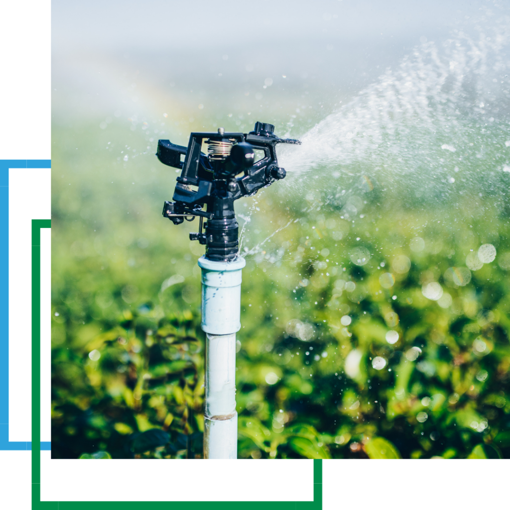 sprinkler watering a field
