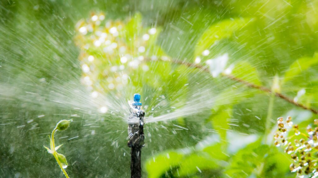 sprinkler