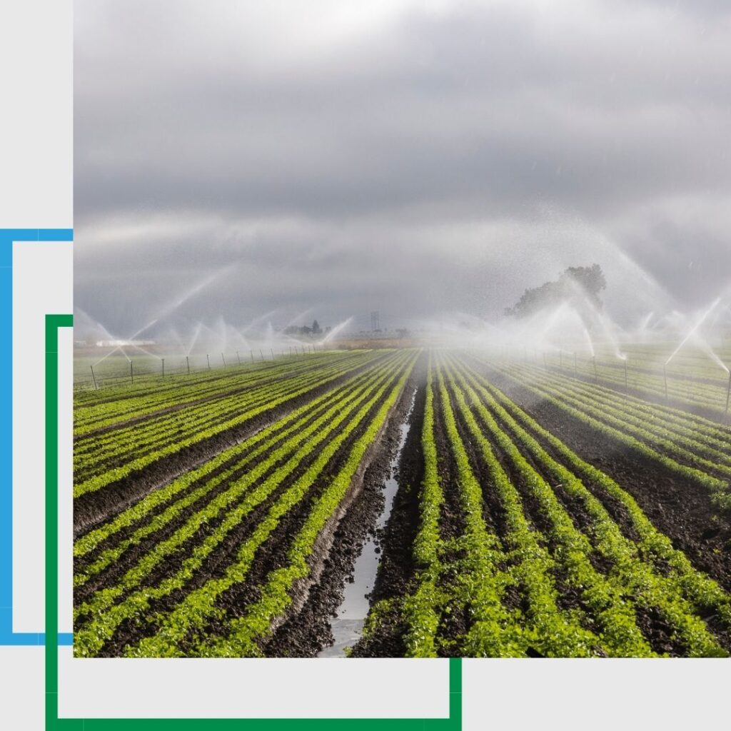 irrigation system
