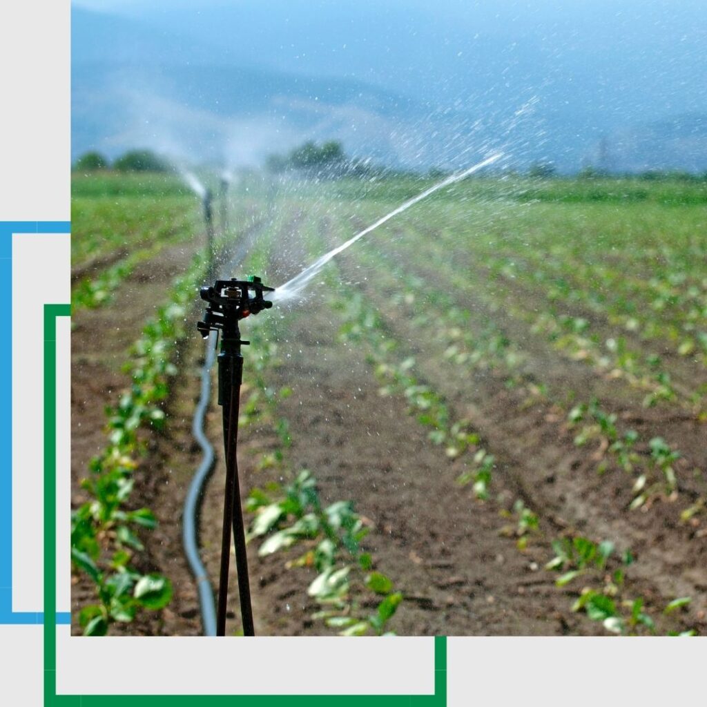 Irrigation system