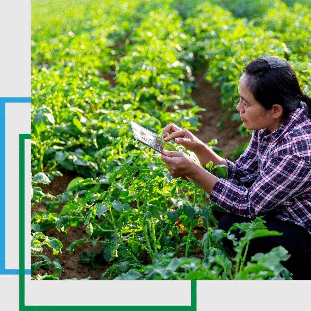 Smart irrigation