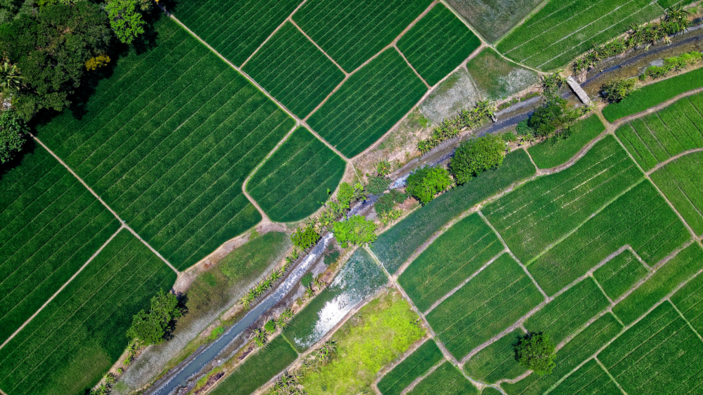 Smart Irrigation Controllers A Tech-Savvy Solution for Water Conservation.Hero