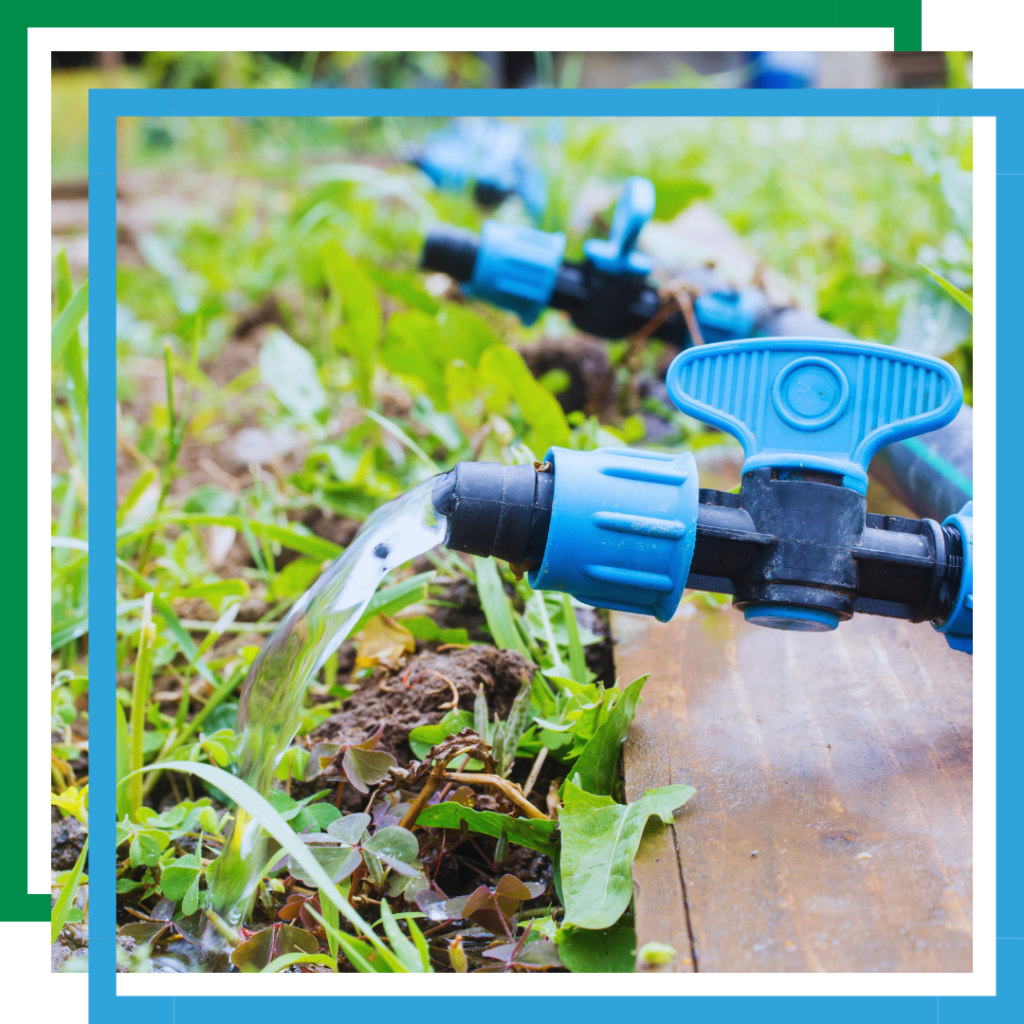 drip irrigation