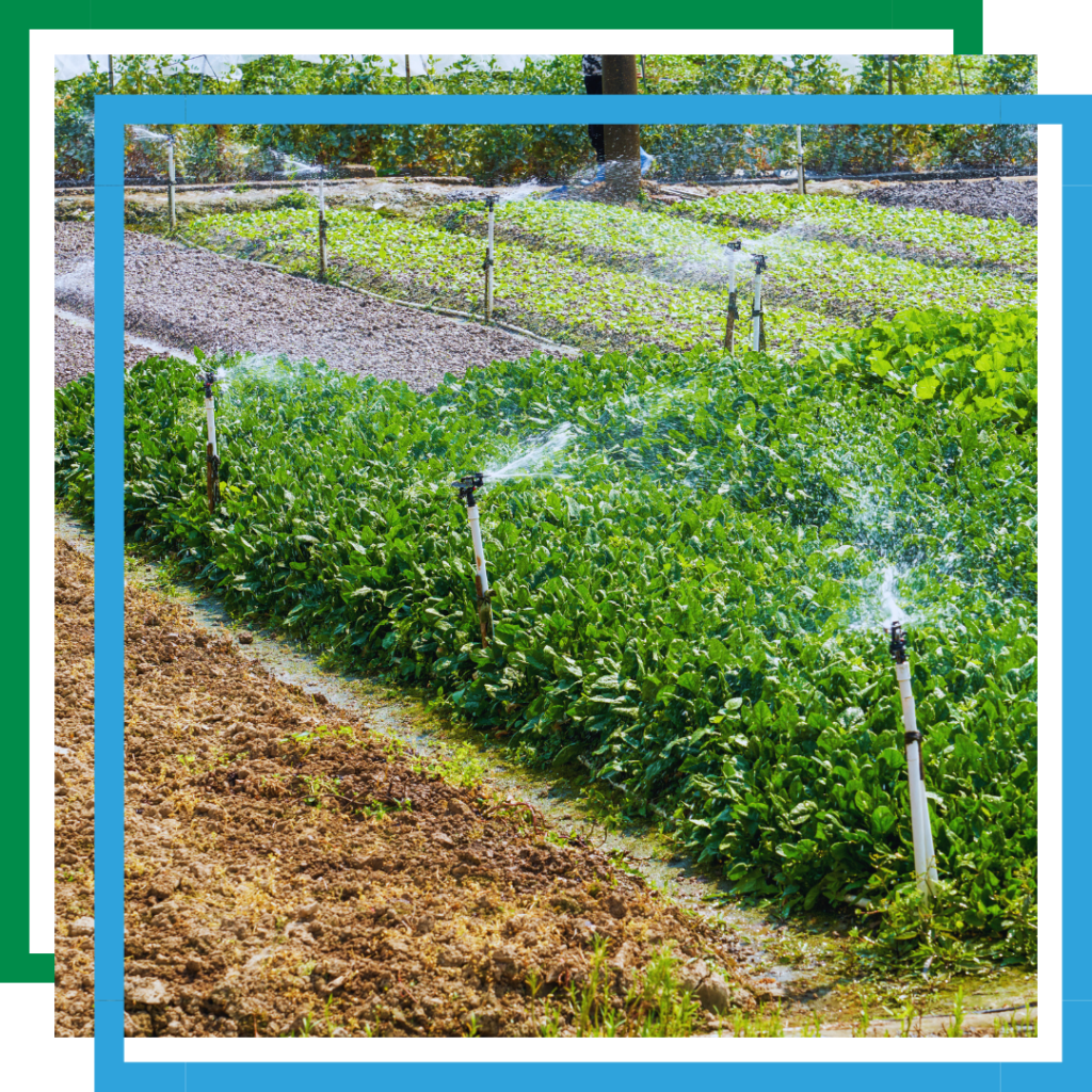 sprinkler system