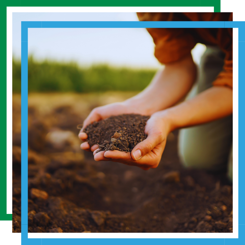 someone holding soil