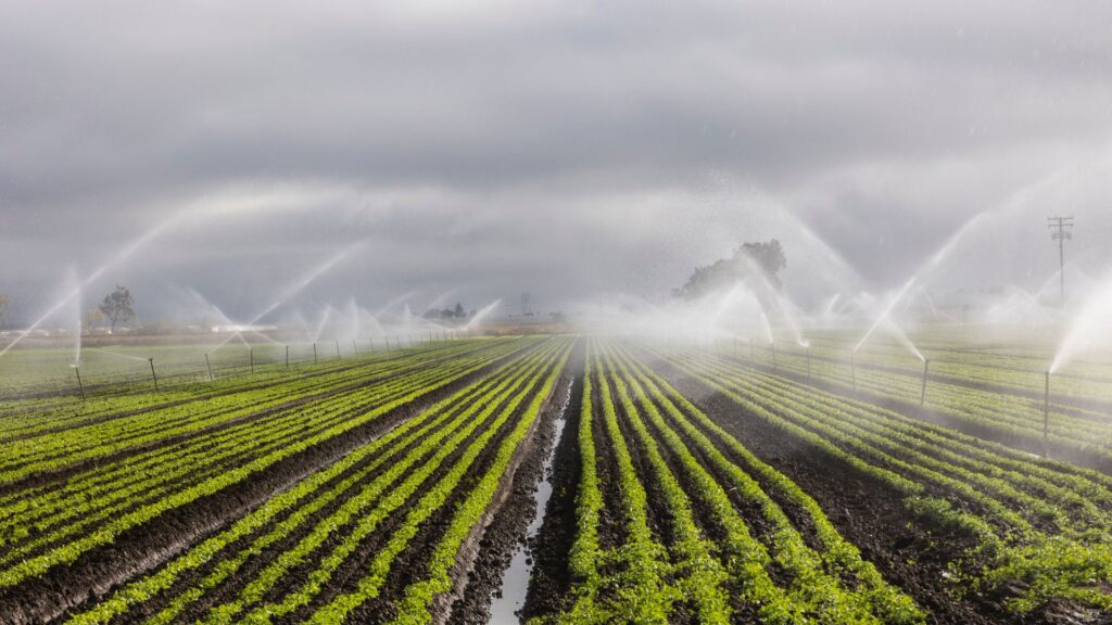 Cost-Effective Irrigation Supplies-bg