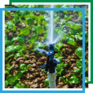 sprinkler